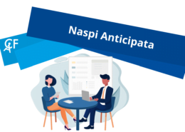 Naspi Anticipata CAF Udine