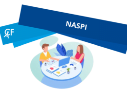 NASPI 2025